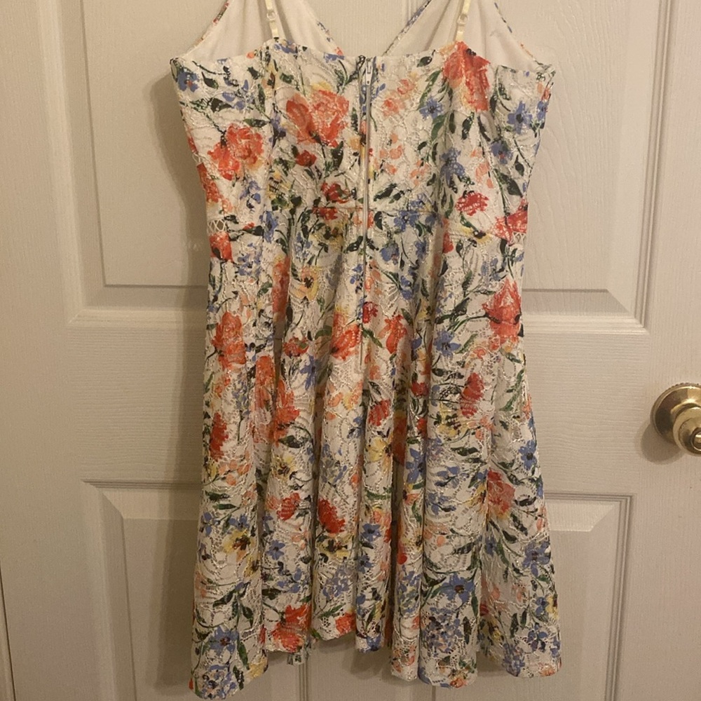Above the knee dress. Multiple color print of flowers. Zip up back